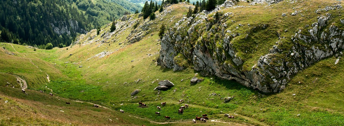 Traversée Des Bauges En Randonnée Et En Raquette En 4 Jours